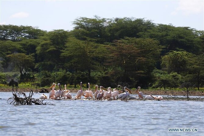 1 Day Bike Tour to Hell’s Gate And Lake Naivasha - Walking the gorges and caves