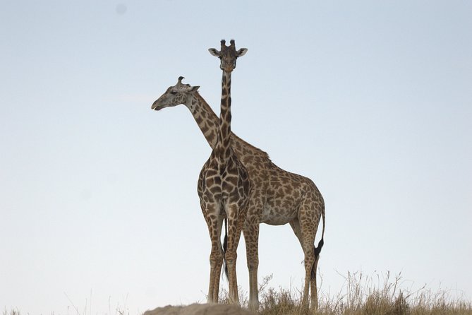 1 Day Hells Gate Biking Safari - The early departure from Nairobi