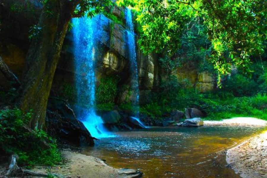 1 day Shimba Hills Tour - Lunch at Shimba Lodge and the Marere Dam area