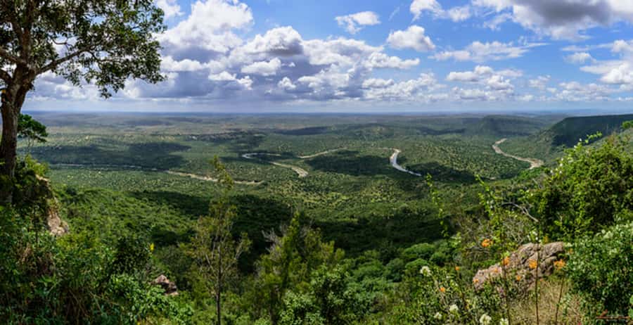 1 day Shimba Hills Tour - The afternoon drive and return around 4:00 pm