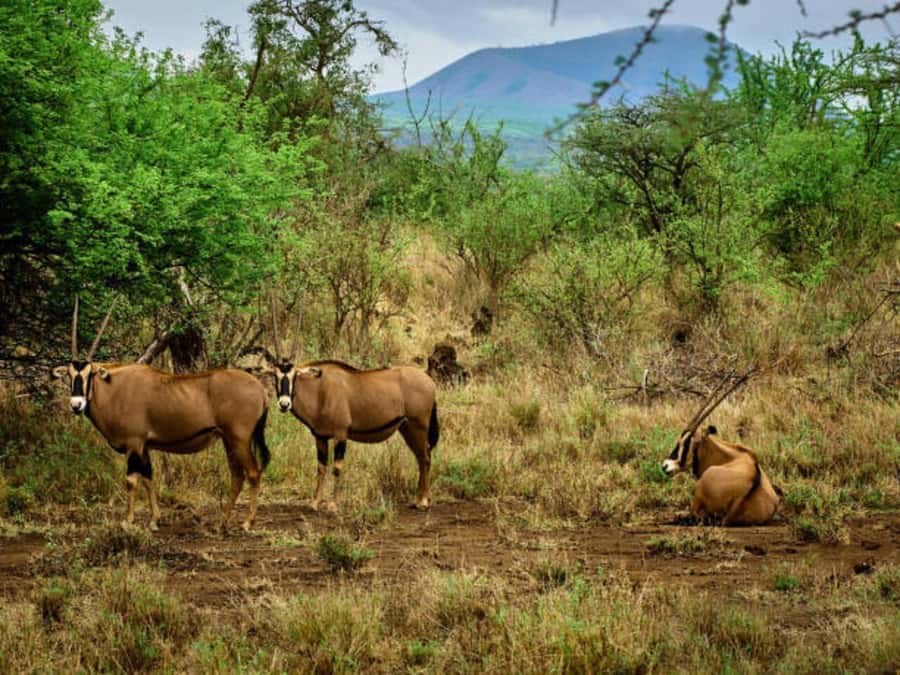 1 day Shimba Hills Tour - What to pack for the waterfall and reserve