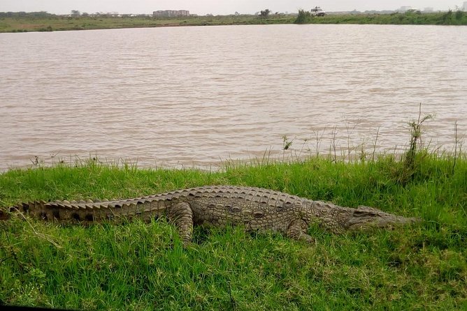 1 Day Tour Nairobi National Park,Giraffe Center&Karen Blixen - Karen Blixen Museum and the Out of Africa connection
