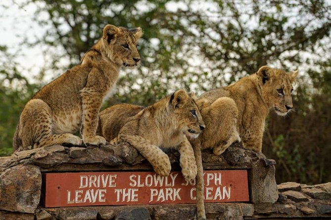 1 Day Tour Nairobi National Park,Giraffe Center&Karen Blixen - The Sheldrick Wildlife Trust question