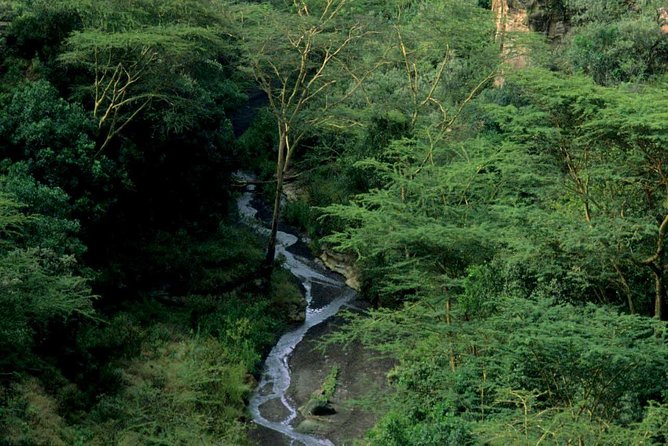 1 Day trip to Hells Gate and Lake Naivasha From Nairobi - Leaving Nairobi at 7am for the Rift Valley