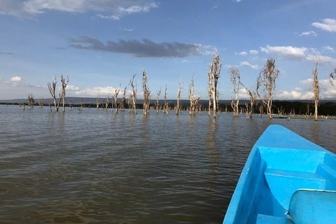 1 Day trip to Hells Gate and Lake Naivasha From Nairobi - Is $110 good value for a full day?