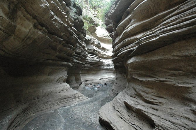 1 Day trip to Hells Gate and Lake Naivasha From Nairobi - Guides, pacing, and the private arrangement