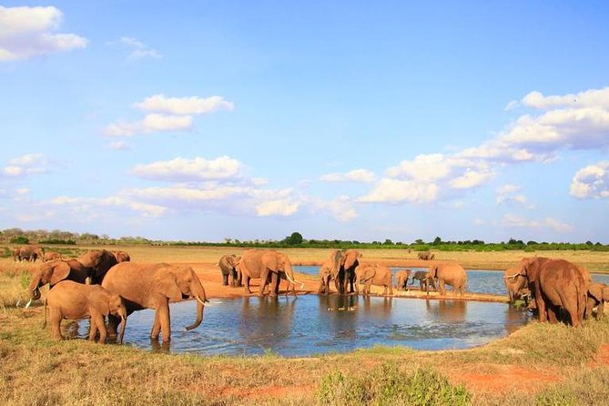 1-Day Tsavo East Safari From Mombasa - Seven hours inside Tsavo East