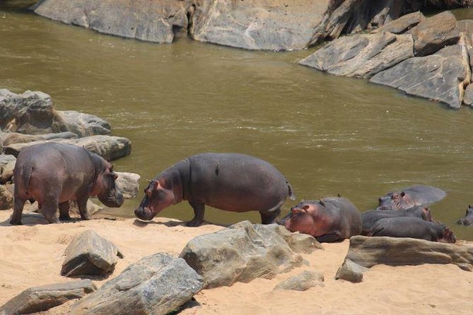 12 Days Kenya and Tanzania Budget Private Safari from Nairobi - Nairobi arrival and a useful first day