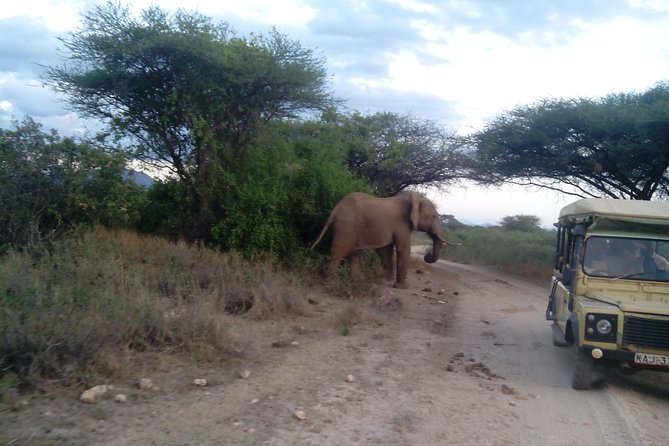 12 Days Kenya and Tanzania Budget Private Safari from Nairobi - Lake Nakuru and the search for rhino