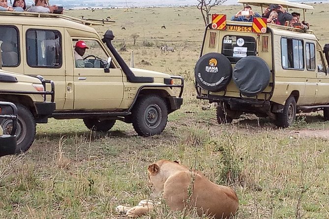 12 Days Kenya and Tanzania Budget Private Safari from Nairobi - Serengeti’s open plains and Seronera