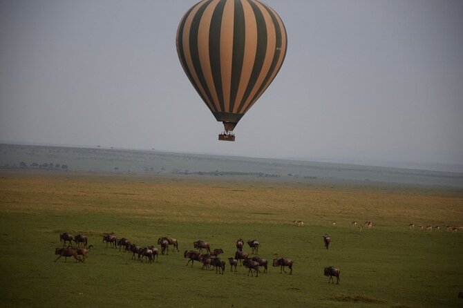 2-Day Private Tour in Masai Mara with Pick Up - Game drives, big cats, and the value of a private guide