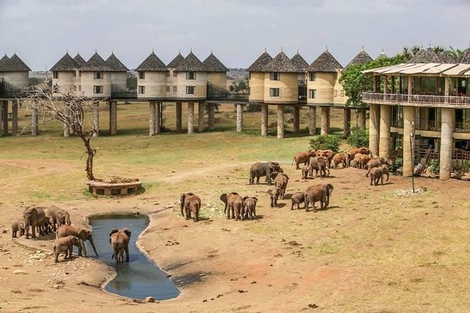 2-Day Safari in Taita Hills from Mombasa - Why this Mombasa safari works as a short escape