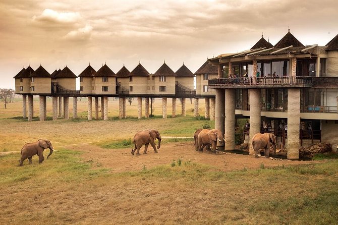 2-Day Safari in Taita Hills from Mombasa - Who gets the best value from the $399 price