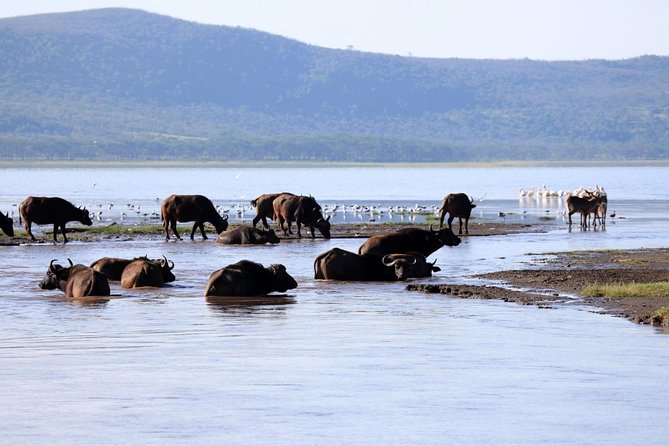 2 Day Tour Lake Nakuru, Hell' s Gate & Lake Naivasha From Nairobi - Why this two-day Kenya route works