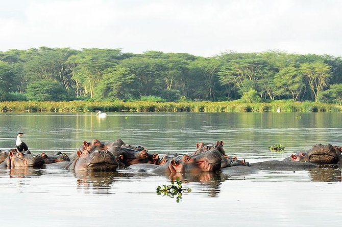 2 Day Tour Lake Nakuru, Hell' s Gate & Lake Naivasha From Nairobi - What the $495 price covers