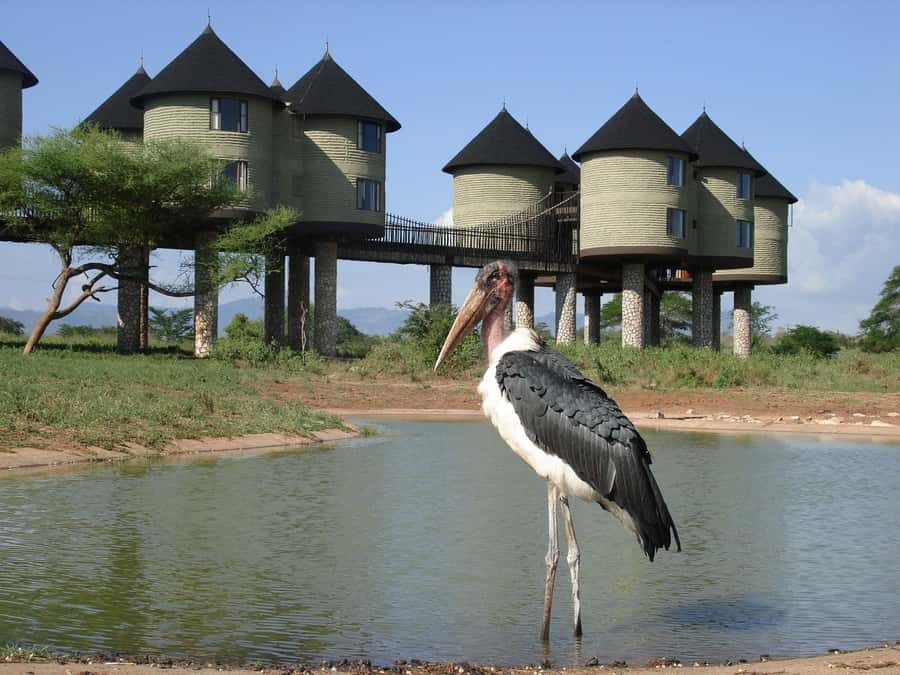 2 days 1 night saltlick safari from Diani/Mombasa - The evening drive toward sunset