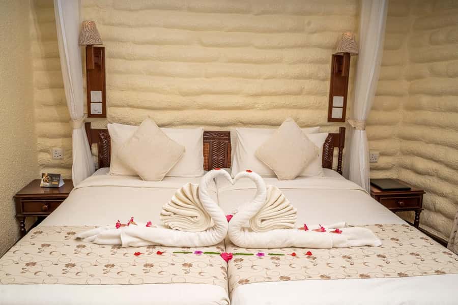 2 days 1 night saltlick safari from Diani/Mombasa - Practical advice for getting the most from the two days