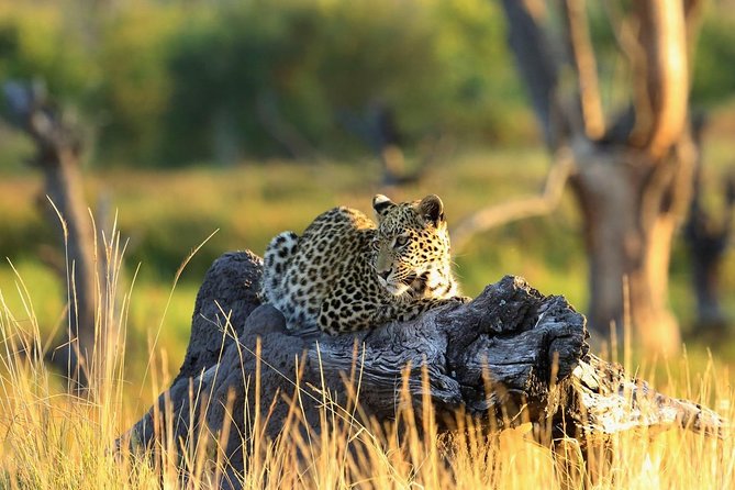 2 Days Amboseli National Park Safari - Key points to know before booking