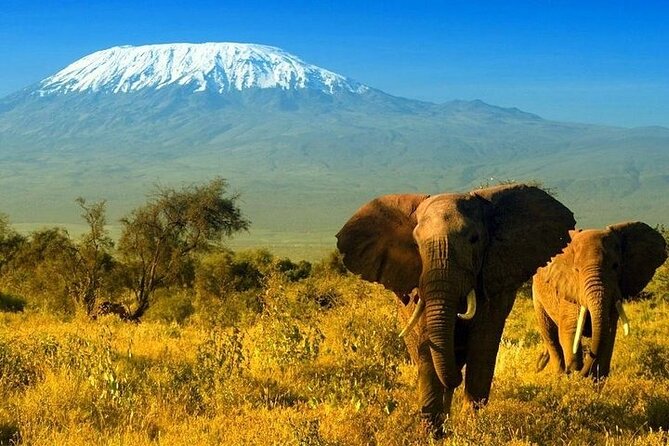 2 Days and 1 Night Amboseli Safari from Nairobi - The long road from Nairobi to the park
