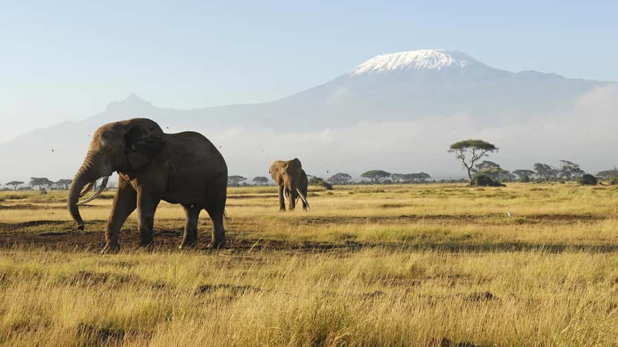 2 Days Group tour to Amboseli Using Landcruiser 4x4 Jeep - The Nairobi to Amboseli drive at 7:30 a.m.