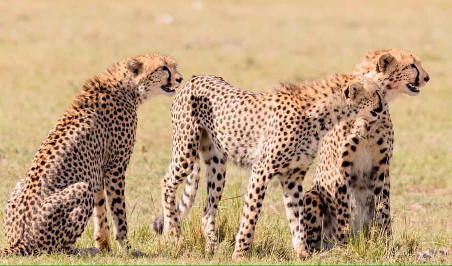 2 days Tsavo East and saltlick safari from Diani/Mombasa - Aruba Dam and the first Tsavo East game drive