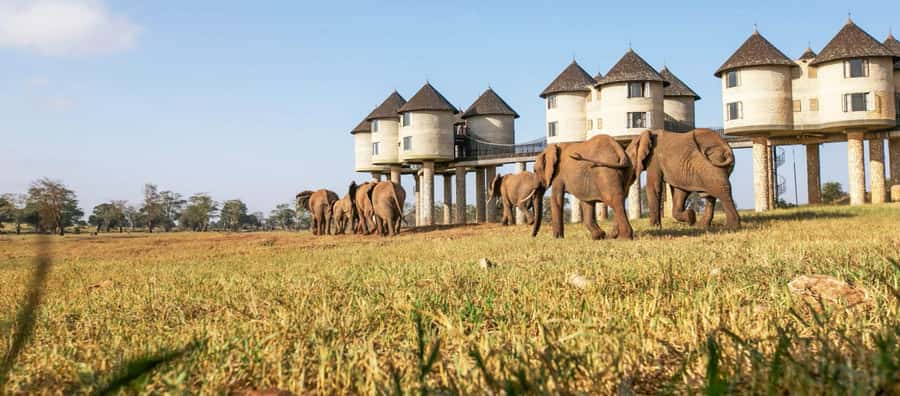 2 days Tsavo East and saltlick safari from Diani/Mombasa - Leaving Mombasa or Diani at 5:00 am