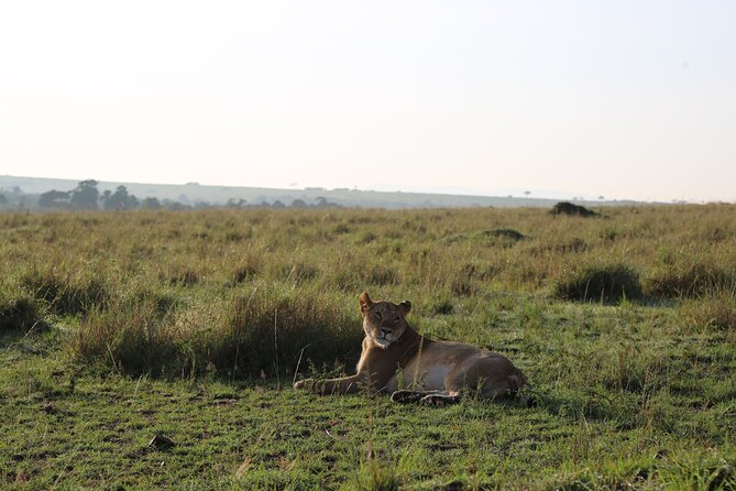 2 Days Tsavo East National Park Tour From Mombasa/Diani (1 Night) - Lunch and the lodge near Voi