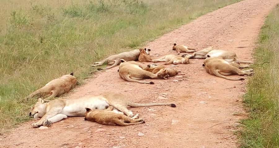 2-Days Wildlife Safari to Tsavo East & Tsavo West Park - Tsavo West, volcanic scenery, and the overnight stay
