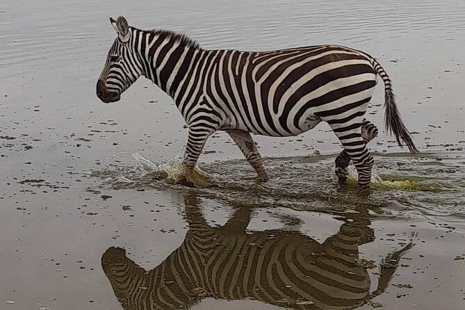 3-Day Amboseli Safari from Nairobi - Booking timing, cancellation, and practical planning