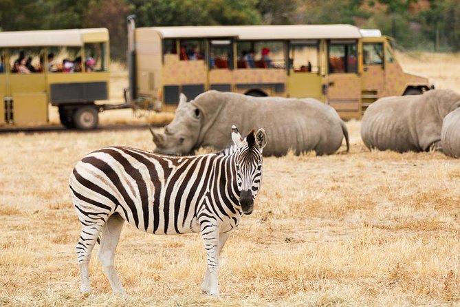 3-Day Maasai Mara Guided Safari From Nairobi - Who should book this safari?