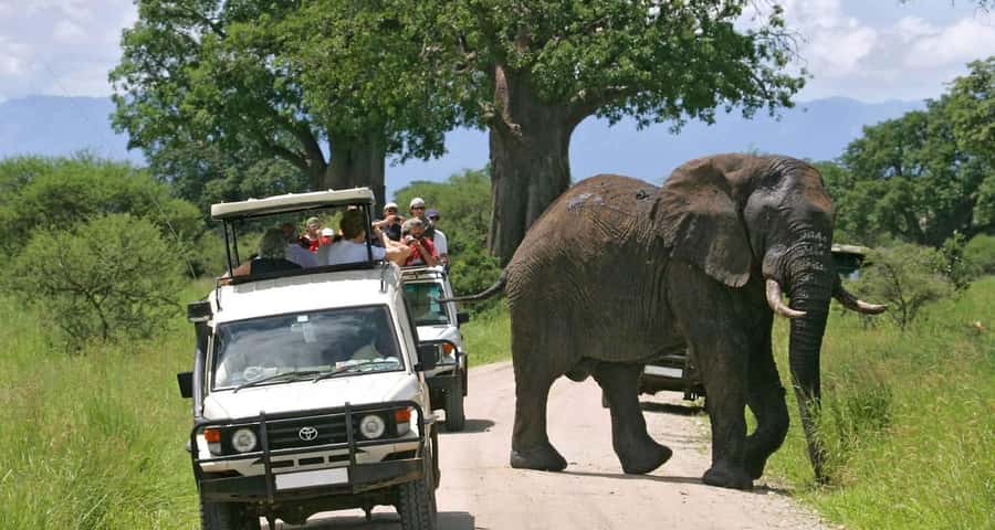 3-Day Maasai Mara Joining Safari at Enkorok Luxury Camp - What the joining format means for you
