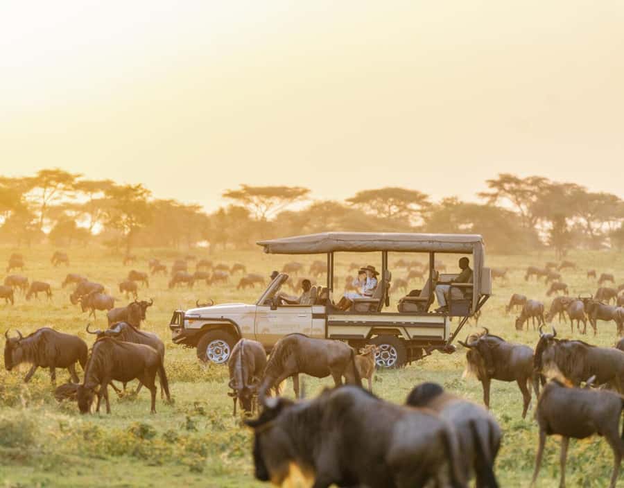 3-Day Maasai Mara Joining Safari at Enkorok Luxury Camp - Day 1: Rift Valley views, lunch, and the first afternoon drive