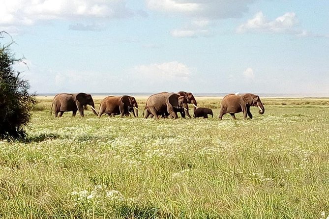 3 Day Maasai Mara & Migration safari - Leaving Nairobi for the escarpment viewpoint