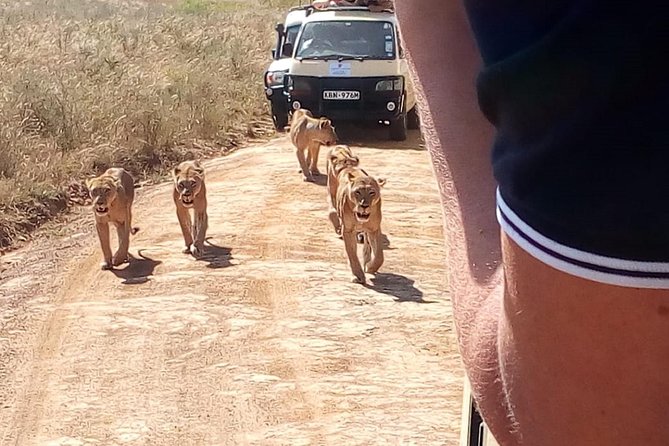 3 Day Maasai Mara & Migration safari - What is included, and what to confirm