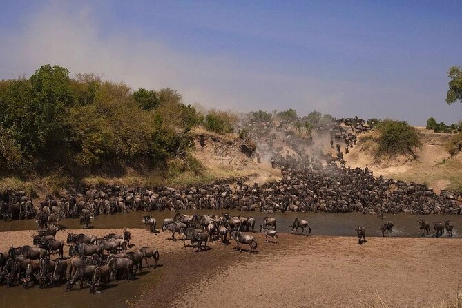 3-Day Masai Mara Group Safari with Pick Up - Key points at a glance