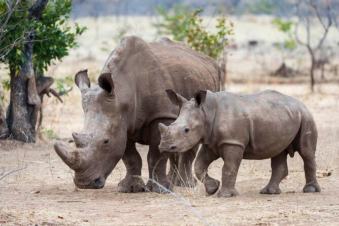 3-Day Masai Mara Group Safari with Pick Up - From Nairobi to the Great Rift Valley