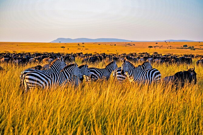 3-Day Masai Mara Jeep Safari - Nairobi to the Great Rift Valley