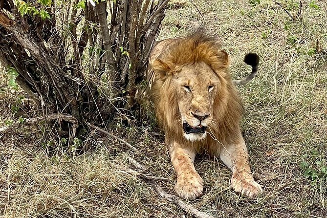 3-Day Masai Mara Jeep Safari - The long ride back to Nairobi