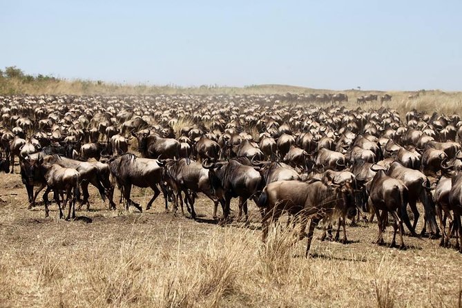 3-Day Masai Mara Luxury Safari - Day one: Nairobi, the Rift Valley, and your first afternoon drive