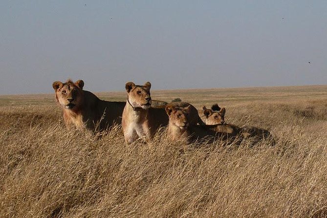 3 Day Masai Mara Safari - Practical details before you book