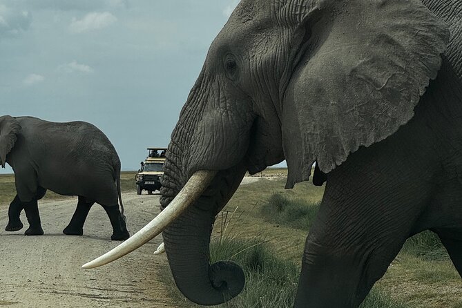 3 Day Private Tour in Maasai Mara with Lodge Luxury with Jeep - Key details to know before booking