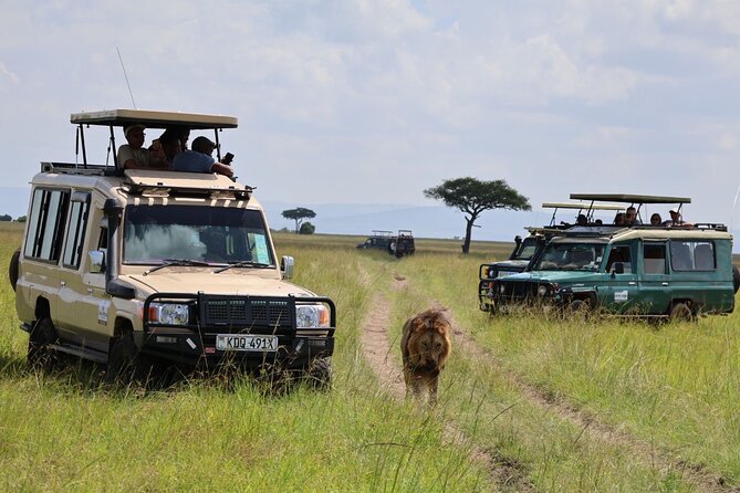3 Day Private Tour in Maasai Mara with Lodge Luxury with Jeep - Day 3: Maasai culture before the road back