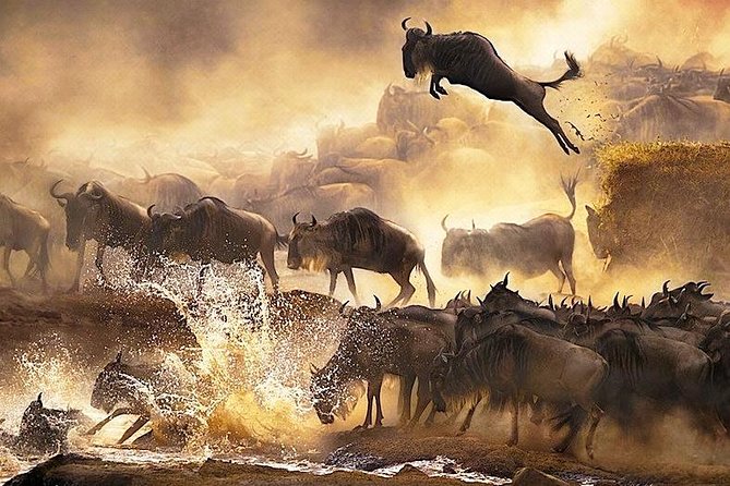 3 days 2 nights budget group safari to Maasai Mara National Reserve - Sleeping in camp, not a luxury lodge