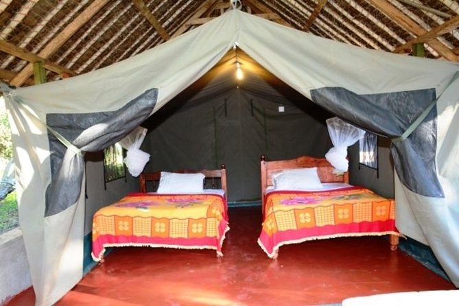 3 days 2 nights budget group safari to Maasai Mara National Reserve - Day 3: Maasai culture and the road back to Nairobi