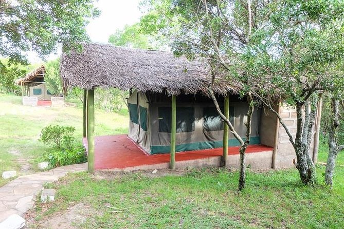 3 days 2 nights budget group safari to Maasai Mara National Reserve - Should you book it?