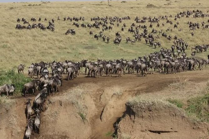 3 days 2 nights budget group safari to Maasai Mara National Reserve - Day 1: Nairobi, the Rift Valley, and a first Mara game drive