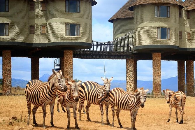 3 Days(2 nights) Tsavo East Tour & Saltlick (Cost based on minimum 2 persons) - Why this safari works from Mombasa