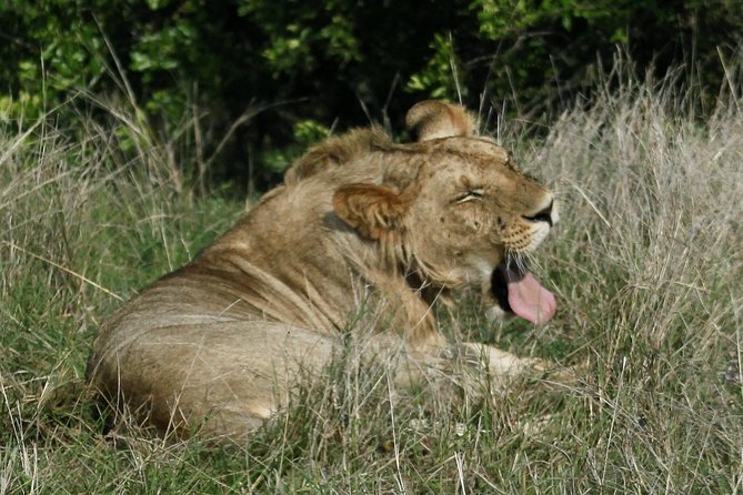 3 Days(2 nights) Tsavo East Tour & Saltlick (Cost based on minimum 2 persons) - Salt Lick Game Lodge and the waterhole