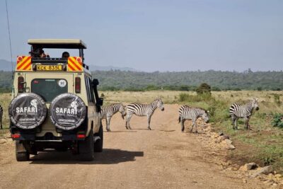 3 Days Best of MasaiMara Wildlife Private Safari, Mid-Range offer