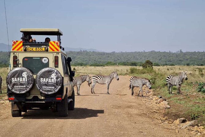 3 Days Best of MasaiMara Wildlife Private Safari, Mid-Range offer - Day 2: A full day searching for the Big Five